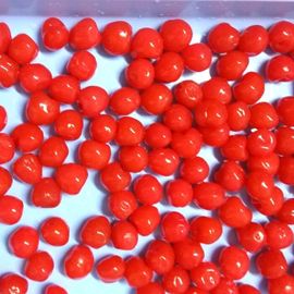 Keine Pigment-Rot in Büchsen konservierten Moosbeeren kein addierter Zuckergesunder roher Bestandteil