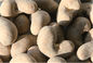 Sojasoßen-gewürzte Acajounuss-natürliche gesunde Nahrung gut für Sehvermögen