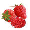 In hohem Grade Ernährungstrockenfrüchte-Imbisse, gefriertrocknete Erdbeeren kein Zucker addiert