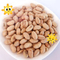 Natürliches gesundes Soem briet gesalzenes Soja Bean Snacks Handpicked Vegan Beans