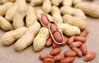 Ursprüngliche Material-Erdnuss-rohe Nuts harte Beschaffenheits-knusperiger Geschmack gut für Magen