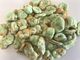 Überzogener Wasabi gebratene gesalzte Puffbohne-Nahrungsmittelvitamine enthalten für Kinder