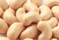 Kalorienarme Acajounuss-Imbisse Kokosnuss, Bonbon brieten Acajoubäume kein Pigment