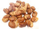 Große gesalzene gebratenes Puffbohnen mit der Hand gepflücktes Material HACCP Fava Nüsse bescheinigt