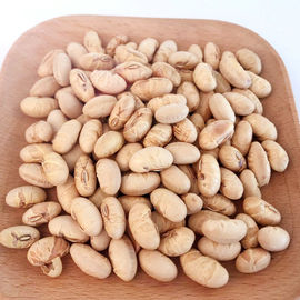 Koscher Halal Zertifiziert Beschichtet Geröstet Würzig Gelb Edamame Sojabohnen Snacks ISO zugelassen