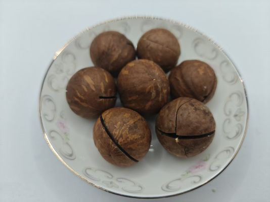 Nüsse aus Macadamia