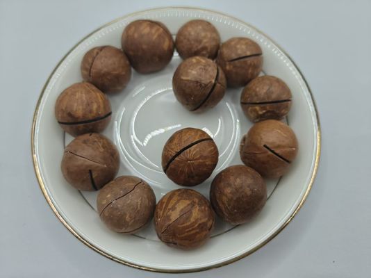 Nüsse aus Macadamia