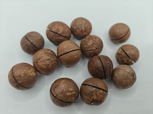Nüsse aus Macadamia