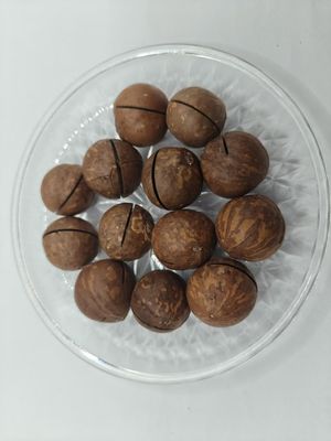 Nüsse aus Macadamia