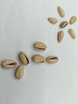 Stillen Sie Gelüste Geröstete Salz Pistazien mit Schale Kostenlose Probe