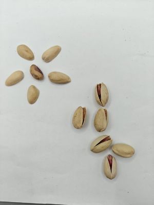 Stillen Sie Gelüste Geröstete Salz Pistazien mit Schale Kostenlose Probe