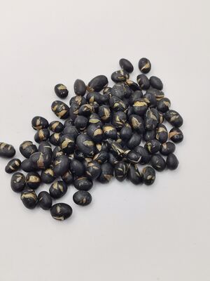 Knusprig, schmackhaft, nahrhaft, gesalzen, schwarze Bohnen, geröstet, Sojabohnen