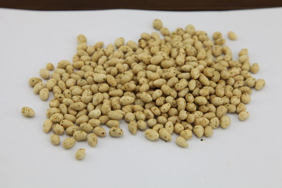 Reine zugelassene Sonnenblumensamen Imbiss, gebratenes Sonnenblumen-Kern-köstliches Aroma