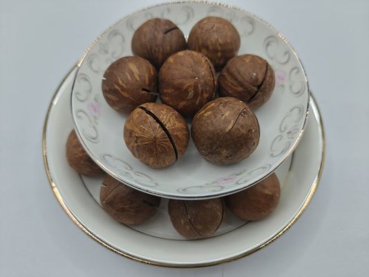 Nüsse aus Macadamia