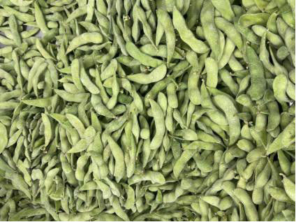 HALAL zugelassener proteinreicher gefrorener Edamame Beans